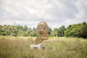 Stream Of Conciousness AntonSmit (2)