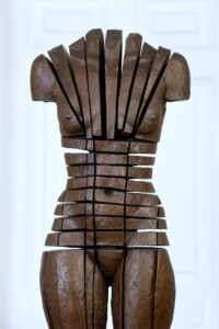 BUT I FLY AntonSmit (2)