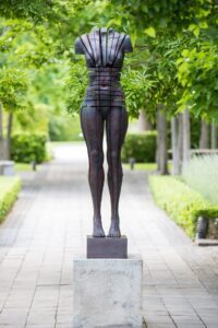 But I Fly AntonSmit (8)