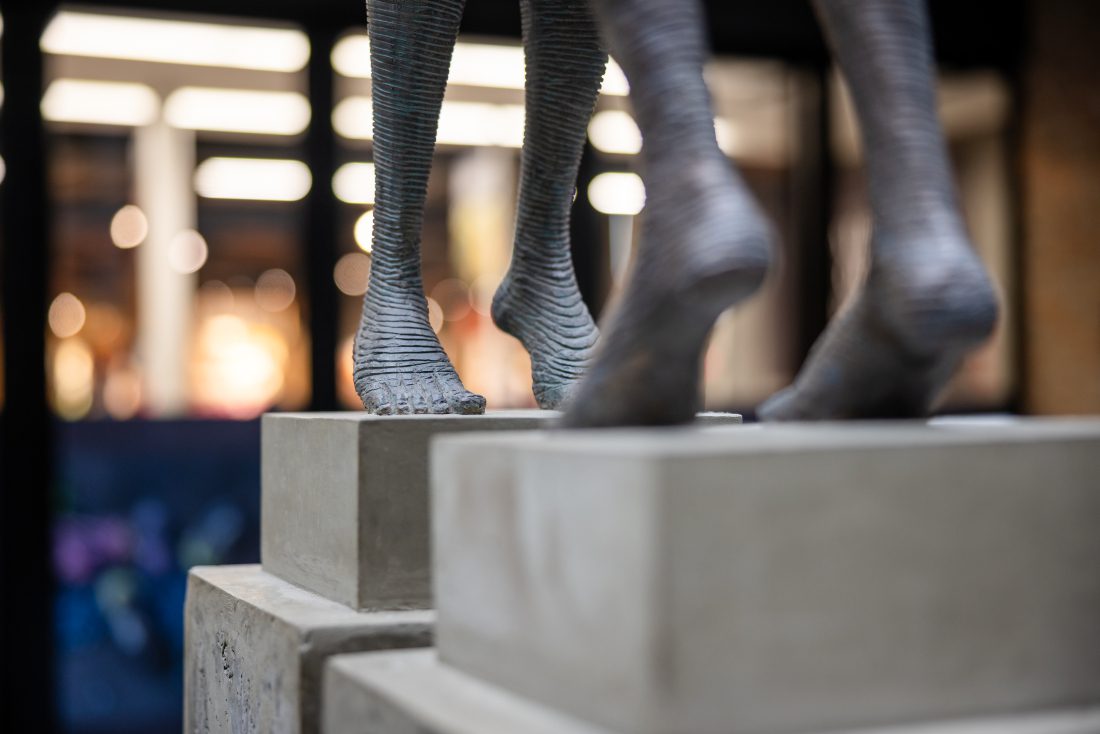 FAITH II DOUBLE AntonSmit MenlynMaine (3)