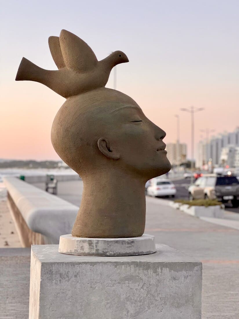 Voelvry AntonSmit (2)