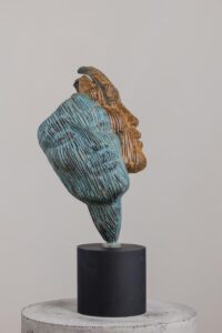 janus antonsmit (1) optimized