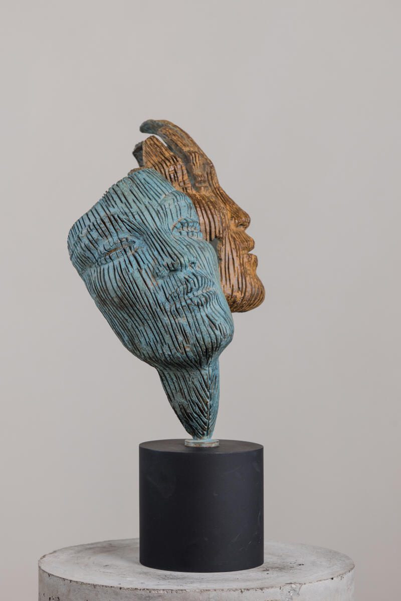 janus antonsmit (1) optimized