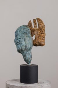 janus antonsmit (2) optimized