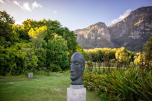 Vergissmeinnicht AntonSmit Kirstenbosch (1)