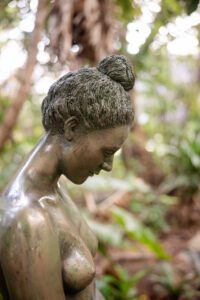 InMomentSeriesVPTA 12