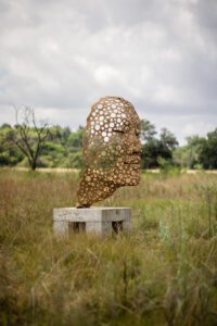 StreamofConsciousnessPTA 12