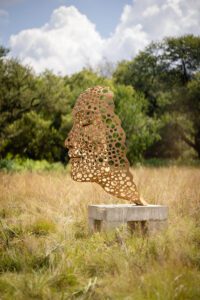 StreamofConsciousnessPTA 15